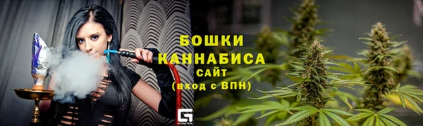 сатива Мегион
