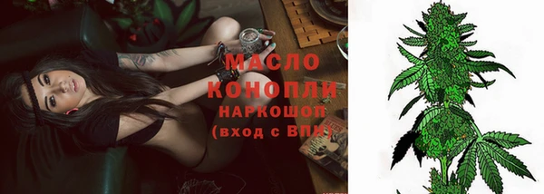 сатива Мегион