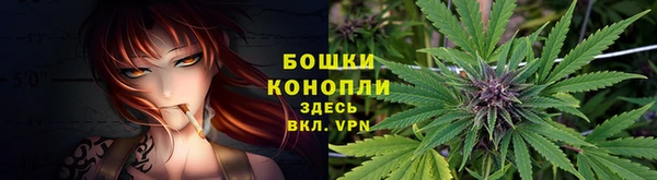 ПСИЛОЦИБИНОВЫЕ ГРИБЫ Медногорск