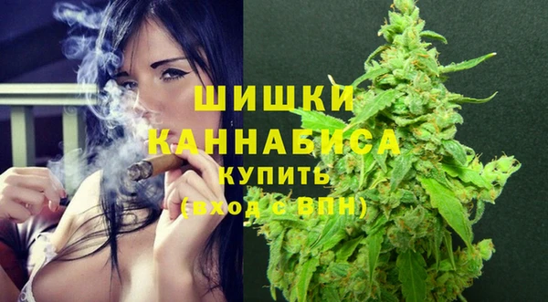 дмт Медвежьегорск
