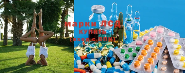 ПСИЛОЦИБИНОВЫЕ ГРИБЫ Медногорск