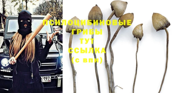 дмт Медвежьегорск