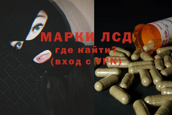 дмт Медвежьегорск