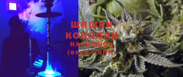 ПСИЛОЦИБИНОВЫЕ ГРИБЫ Медногорск