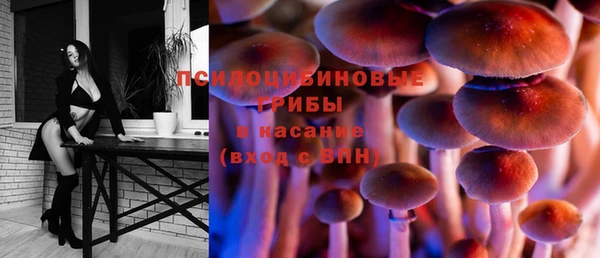 ПСИЛОЦИБИНОВЫЕ ГРИБЫ Медногорск