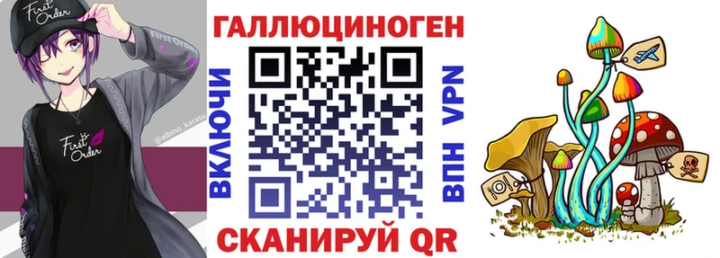 Псилоцибиновые грибы GOLDEN TEACHER  Новомичуринск 
